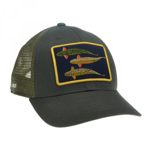 Rep Your Water Silhouette Trio Hat-Green