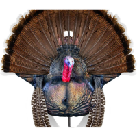 MONTANA DECOY WILEY TOM 2D STRUTTING GOBBLER TURKEY DECOY - NEW