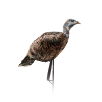 MONTANA DECOY MISS PURRFECT XD TURKEY DECOY