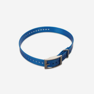 1-inch Collar Strap-Blue