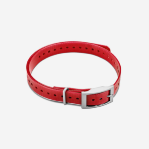 Collar, 3/4" Square Buckle Collar Strap-Red