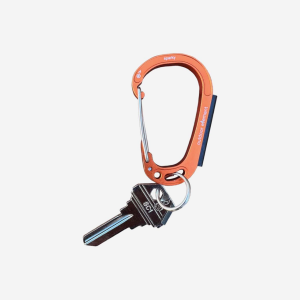 Sparky and Scratch Key-Orange-KW1/#66