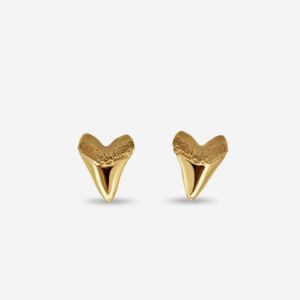 Shark Tooth Earrings-14k Gold