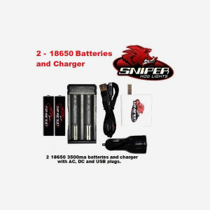 2 18650 batteries and charger