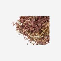 Red Cedar Ribbon Dog Bedding - 1.8 cu ft Bale
