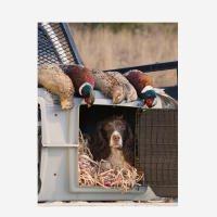 Red Cedar Ribbon Dog Bedding - 12 x 12 x 14 inch box