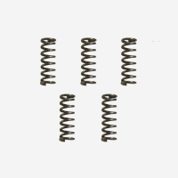 Firing Pin Rebound Springs for SW SW22 Victory (5-Pack)