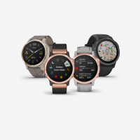 Garmin fenix 6S-Rose Gold-tone with Powder Gray
