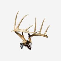 Skull Hooker Skull Cap