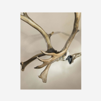 Skull Hooker XXL Bone Bracket