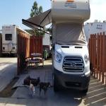 2018 Forest River orion