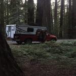 2014 Palomino Backpack Edition