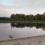 2017 Keystone Bullet