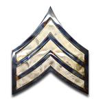 American Liquid Metal - SGT Rank Sign