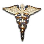 American Liquid Metal - Medical Branch Insignia Sign