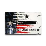 American Liquid Metal - Texas Transformation Flag Sign