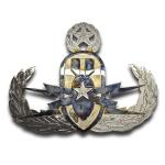 American Liquid Metal - EOD Master Wings Sign