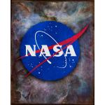 NASA Meatball Vintage Tin Sign