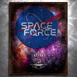 Space Force Logo Vintage Tin Sign