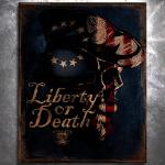 Patriot Skull Vintage Tin Sign