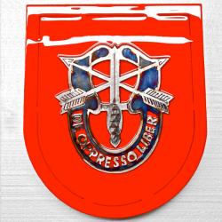 American Liquid Metal - 7th Special Forces Group Sign