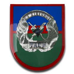 American Liquid Metal - Tactical Air Control Party (TACP) Sign