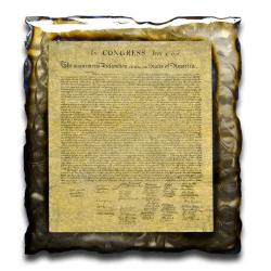 American Liquid Metal - Declaration of Independence Sign