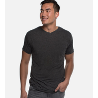 Men's Bamboo V-Neck Tee - L