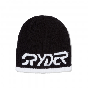 Spyder Logo Hat 2024