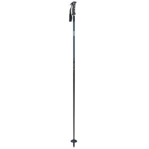 Swix Excalibur Ski Poles 2025