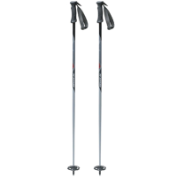 Swix Techlite Pro Ski Poles 2025