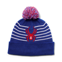 Spyder Icebox Boys Hat 2024