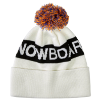 Dc Shoes Chester Beanie 2023