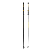 Armada Triad Bb Ski Poles 2025