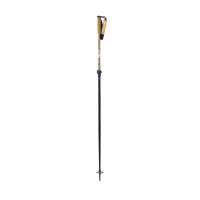 Line Skis Paintbrush Ski Poles 2025