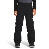 The North Face Boy's Freedom Insulated Snow Pants
