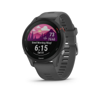 Garmin Forerunner 255 Slate Gray