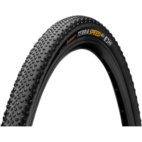Continental Terra Speed Tire - 650b x 40 Tubeless Folding BLK BLKChili ProTection E25