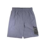 Nike Big Boy's 8 Inch Volley Shorts Trunks Swimwear - Light Carbon - Small