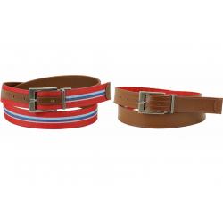 Original Penguin Men's IPNL0051 Leather/Canvas Reversible Belt - Red - 42