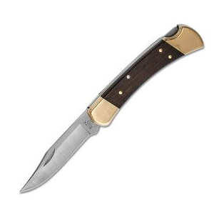 Buck Folding Hunter Knife 25979