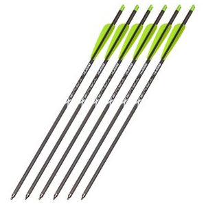 Bear Archery TrueX Crossbow Bolts (12 Pack) Green / Black 6 Pack