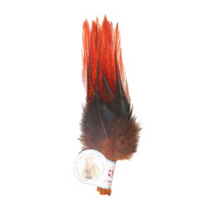 Hareline Dubbin COQ De Leon UV2 Perdigon Fire Tail Feathers Fl Orange