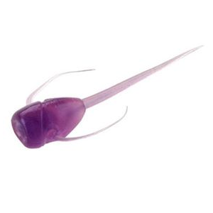 13 Fishing Paralyzer Finesse Plastics Soft Bait Purple Rain