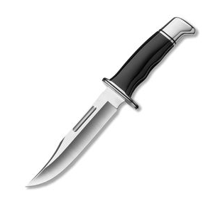 Buck Knives 119 Special Knife Black