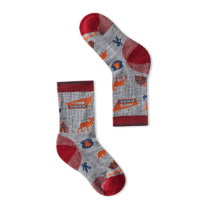 Smartwool Hike Light Cushion Crew Socks - Kids' LIGHT GRAY M