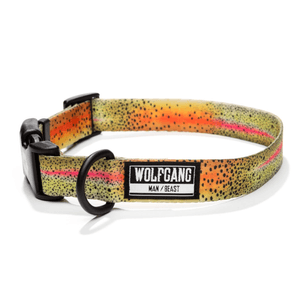 Wolfgang CutBow Dog Collar CutBow L