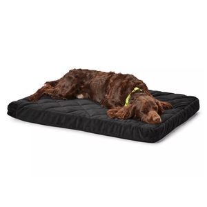 Orvis Memory Foam Platform Dog Bed Slate XL