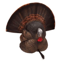 Flextone Thunder Creeper Decoy Strut