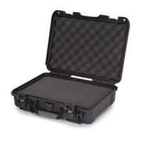 Nanuk 910 Gun Case 651394